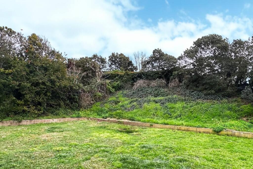 Large House And Yard Close To La Jolla, Ucsd, Utc Mall! Holiday home